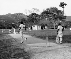 cricket in Trinidad